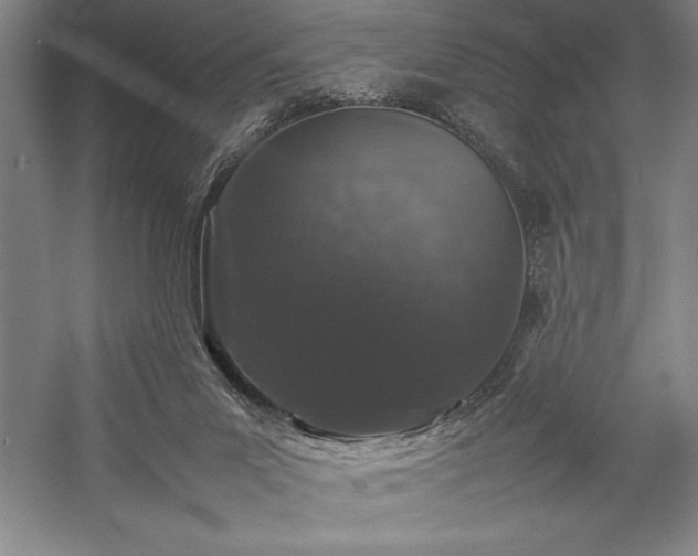 X0000057100023200509091215