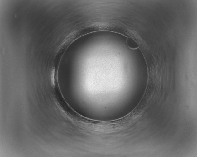 X0000057100024200509091215