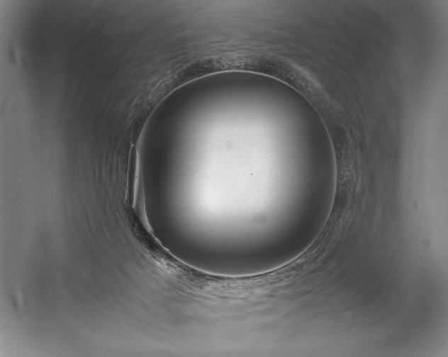 X0000057100025200509091215