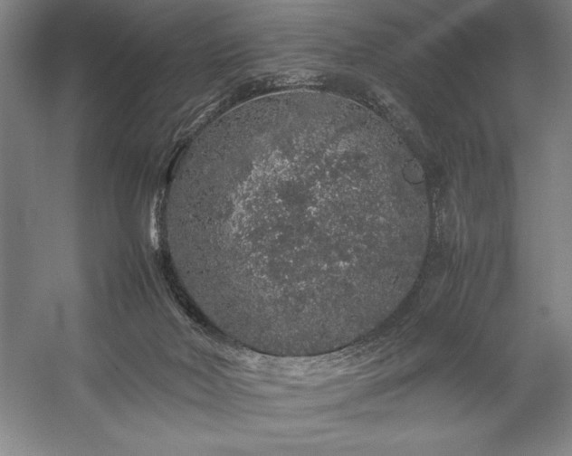 X0000057100026200509091215