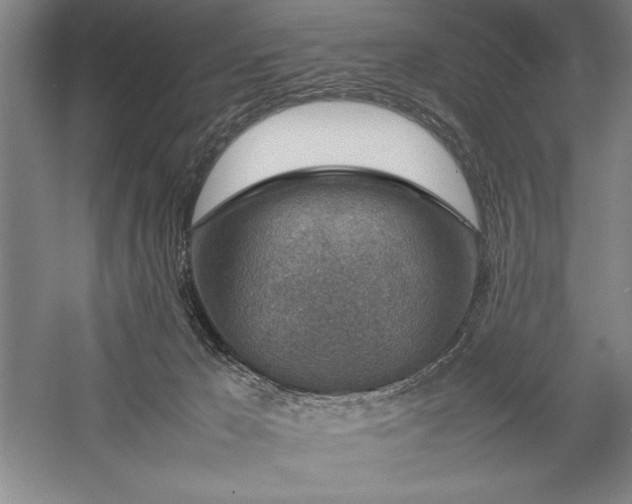 X0000057100029200509091215