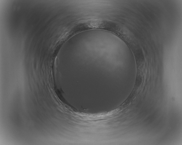 X0000057100031200509091215