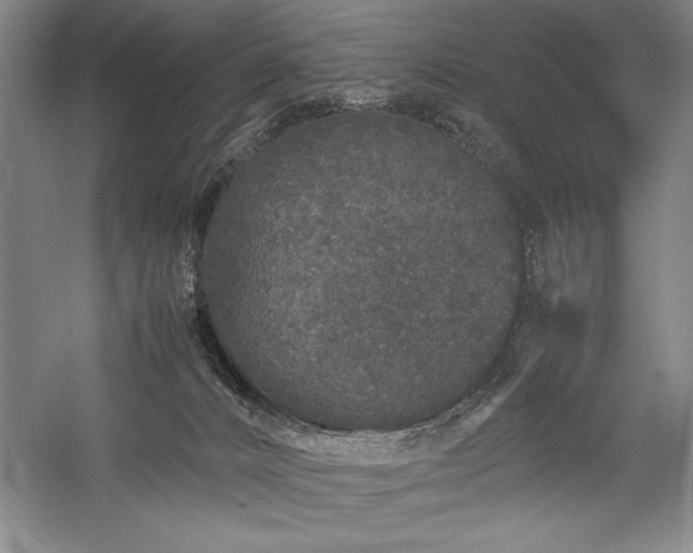 X0000057100032200509091215