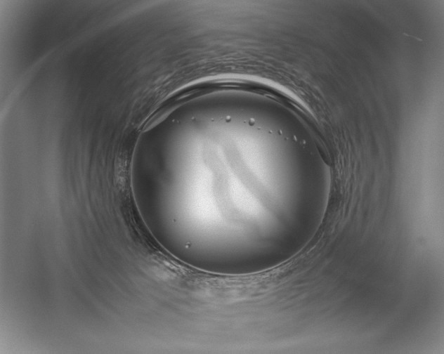 X0000057100033200509091215