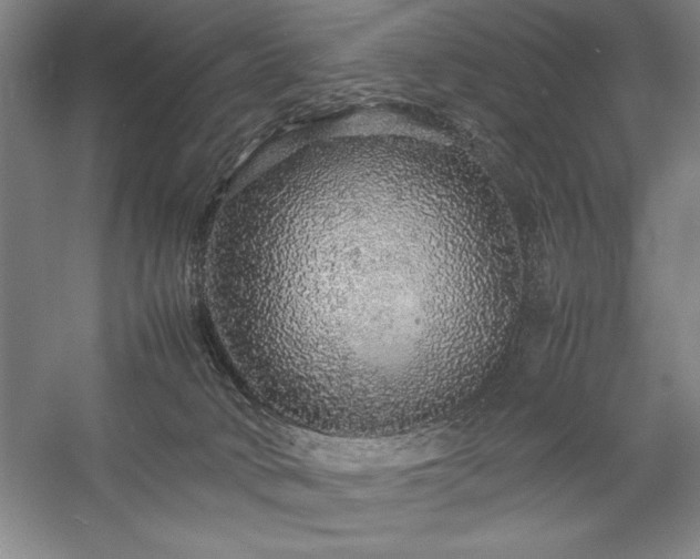 X0000057100034200509091215