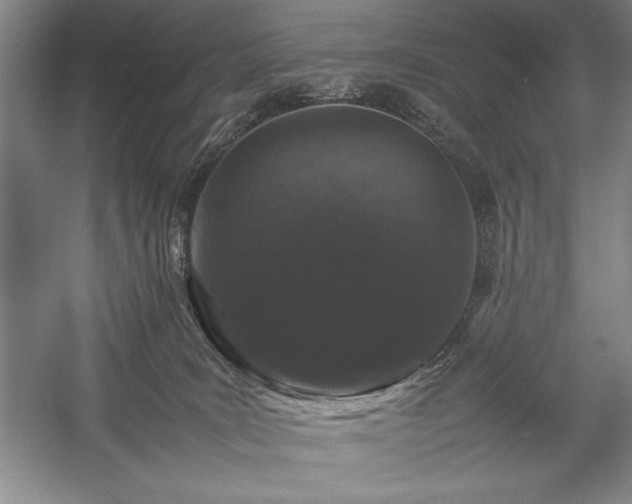 X0000057100035200509091215