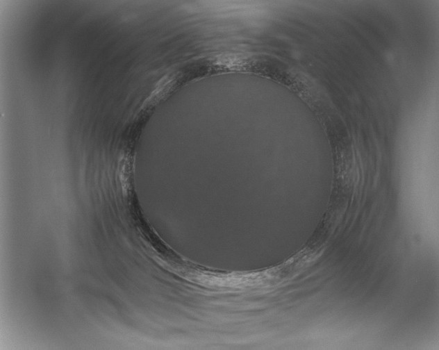 X0000057100036200509091215