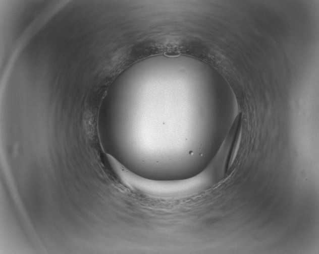 X0000057100037200509091215