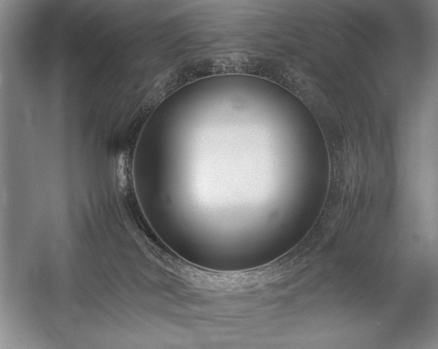 X0000057100038200509091215