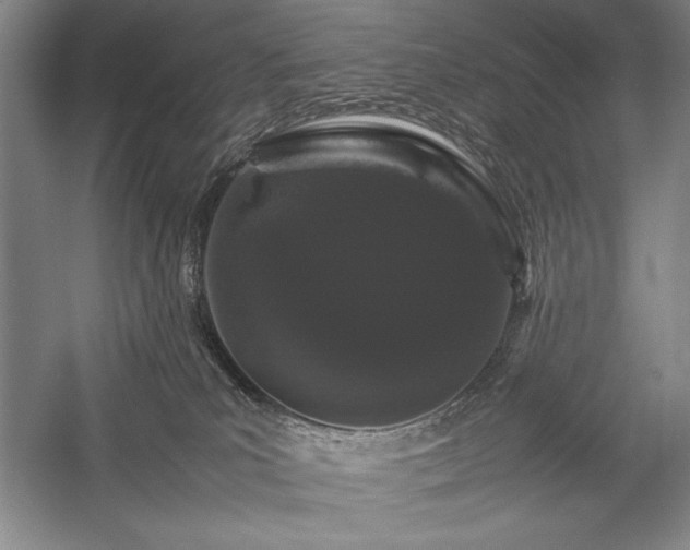 X0000057100039200509091215