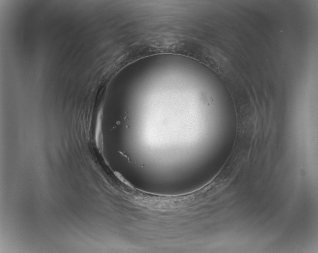 X0000057100040200509091215