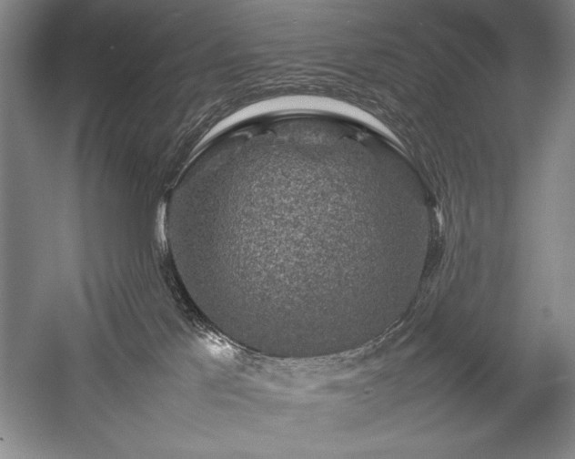 X0000057100041200509091215