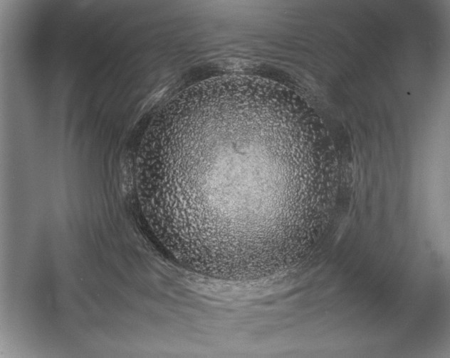 X0000057100043200509091215