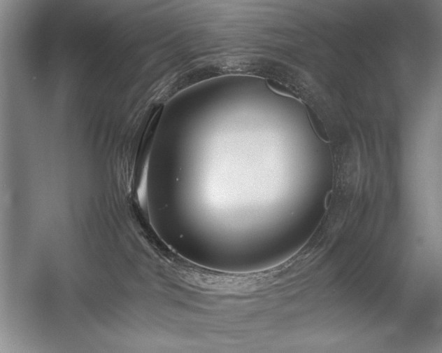 X0000057100044200509091215