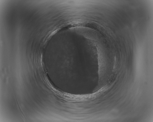 X0000057100048200509091215