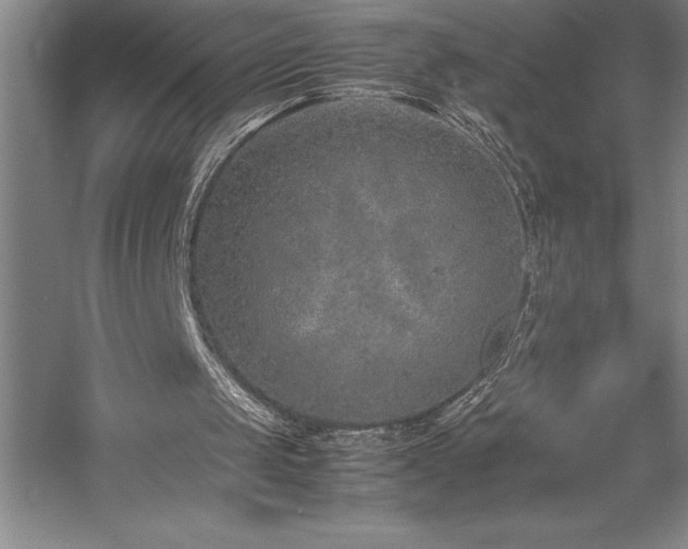 X0000057100049200509091214