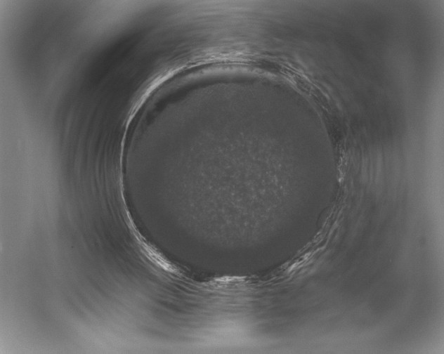 X0000057100052200509091214