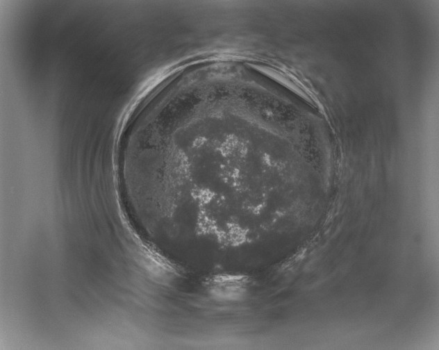 X0000057100055200509091214