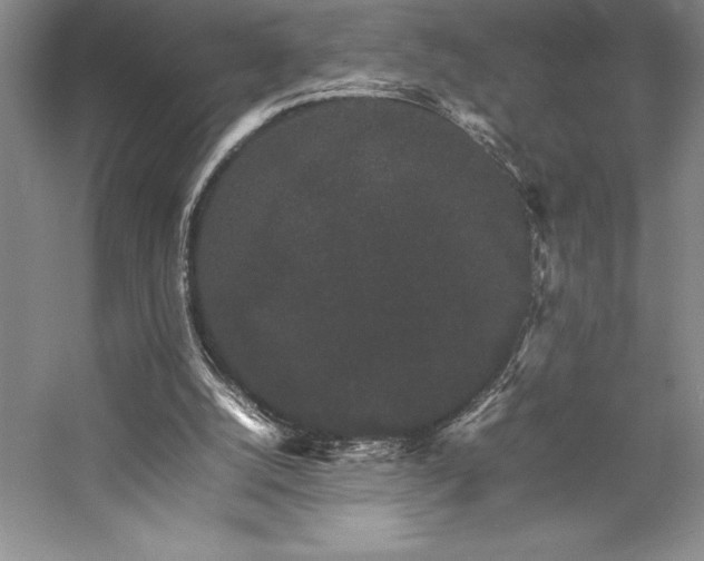 X0000057100056200509091214