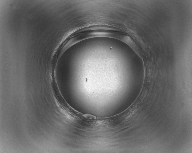 X0000057100060200509091214