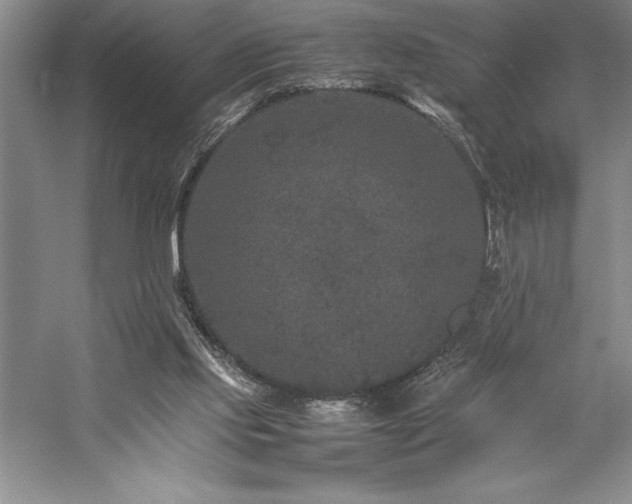 X0000057100061200509091214