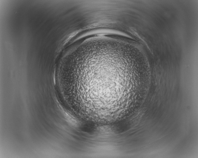 X0000057100062200509091214