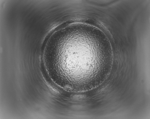 X0000057100063200509091214