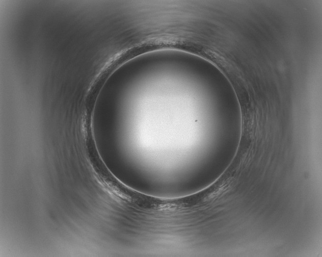 X0000057100064200509091214