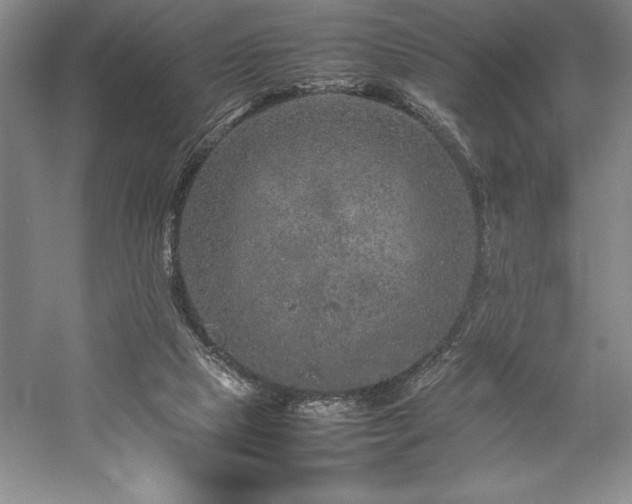 X0000057100065200509091214