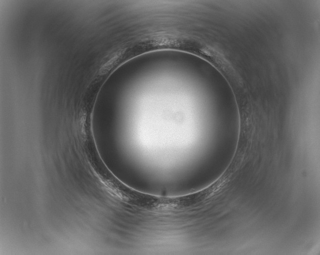 X0000057100066200509091214