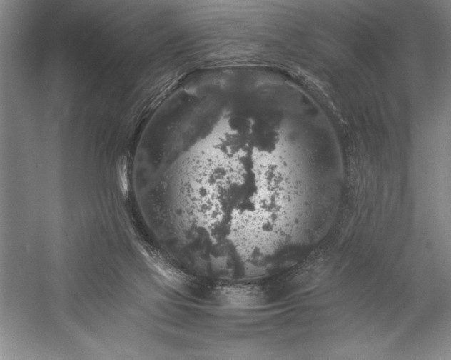 X0000057100069200509091214