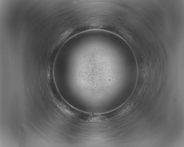 X0000057100072200509091214