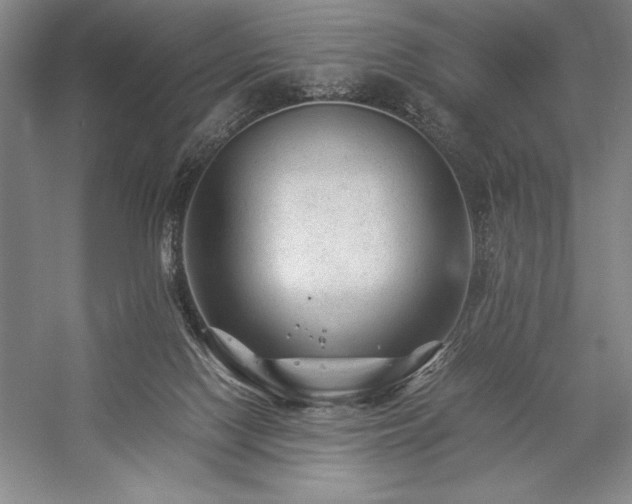 X0000057100074200509091214