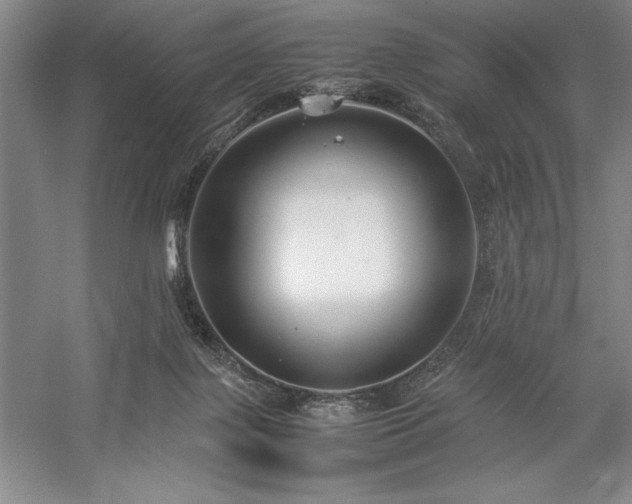 X0000057100075200509091214