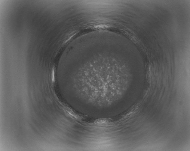 X0000057100076200509091214