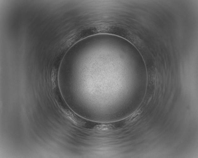 X0000057100082200509091215