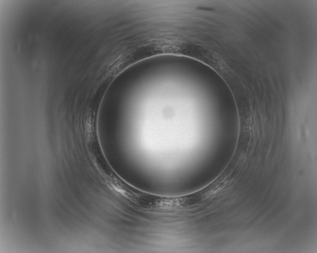 X0000057100084200509091215