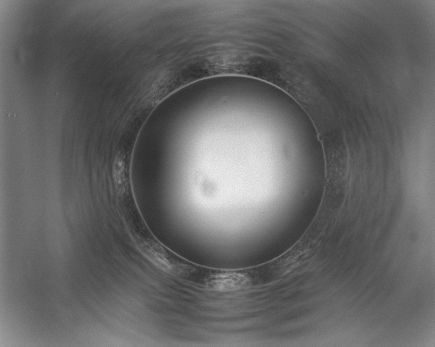 X0000057100087200509091215