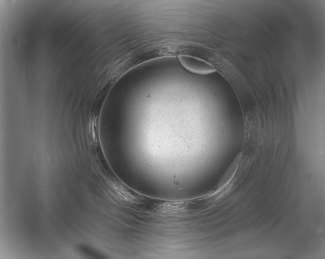 X0000057100094200509091215