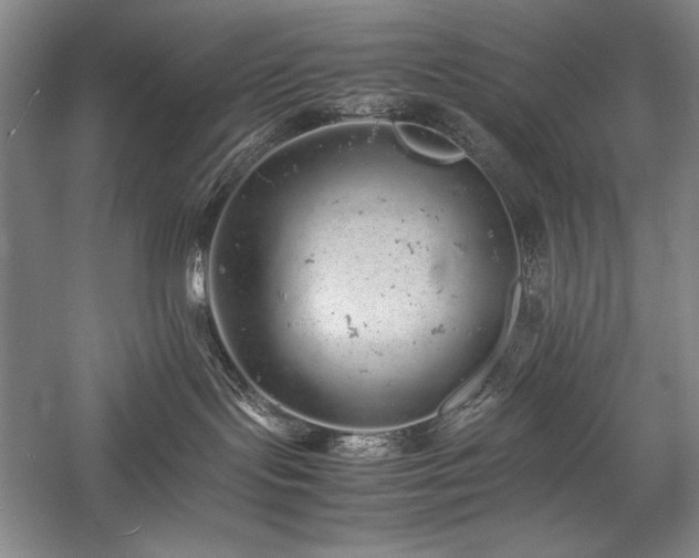 X0000057100095200509091215