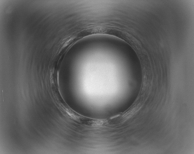 X0000057100096200509091215