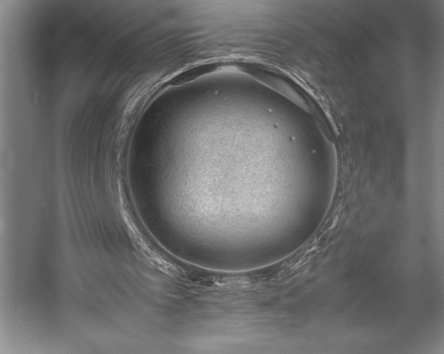 X0000057100097200509091214