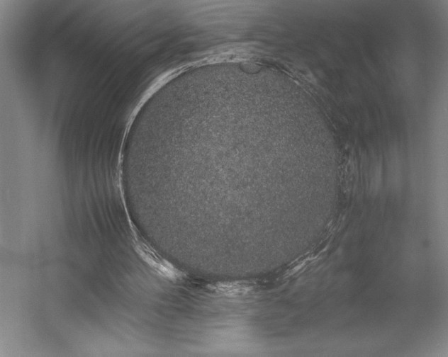 X0000057100100200509091214