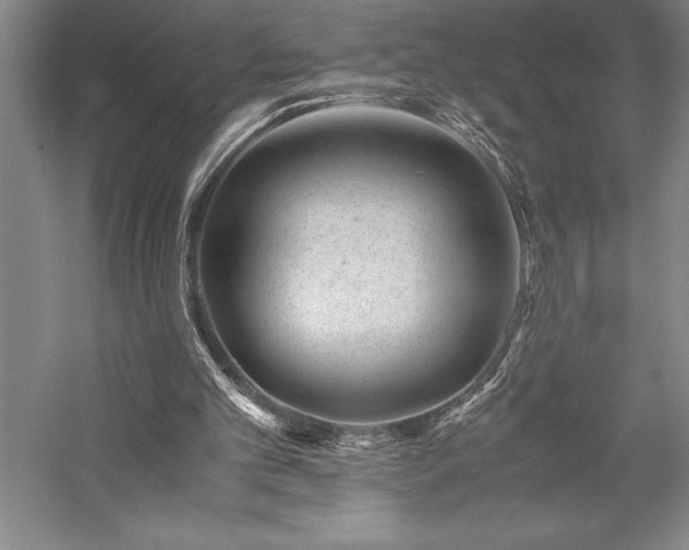 X0000057100101200509091214