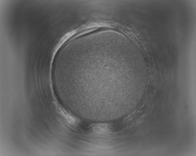 X0000057100104200509091214