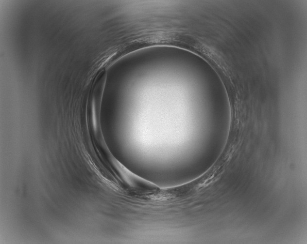 X0000057100105200509091214