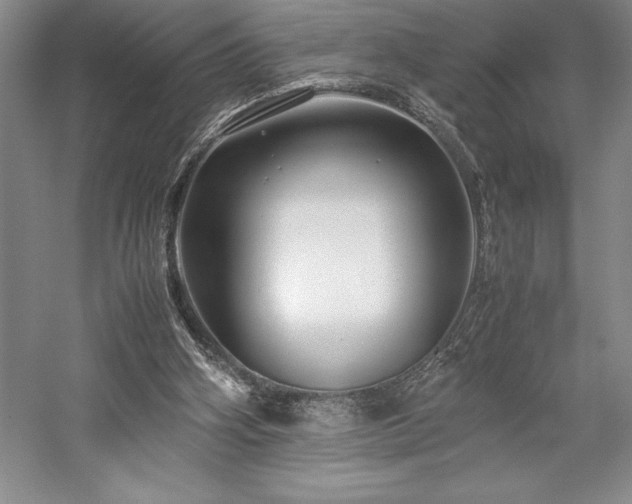 X0000057100106200509091214