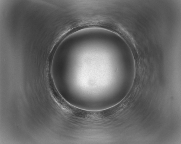 X0000057100107200509091214