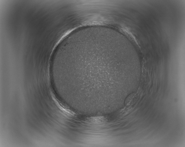 X0000057100108200509091214