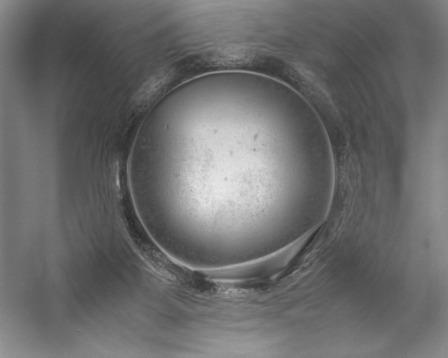 X0000057100115200509091214